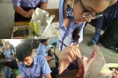 Art-and-Craft-11