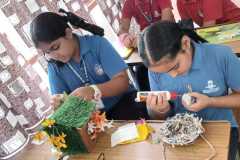 Bird Nest Making MSS