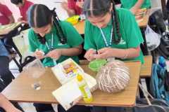 Bird-Nest-Making-5