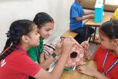 Bird-Nest-Making-7