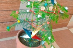 Christmas-Celebration-2