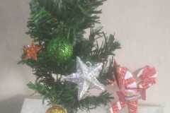 Christmas-Celebration-8