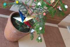 Christmas-Celebration-9