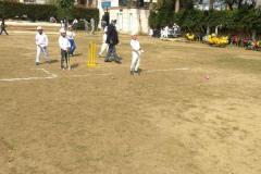 Cricket-Match-3