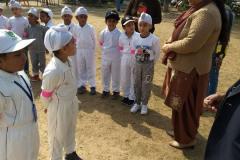 Cricket-Match-7