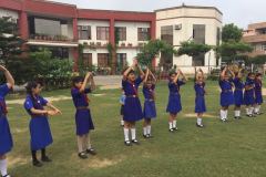 Cubs and Bulbul Camp