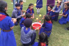 Cubs-Bulbul4-WA0014
