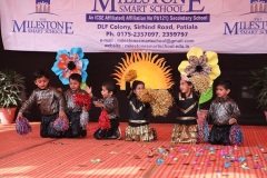 Dancing-stars-IMG_1623