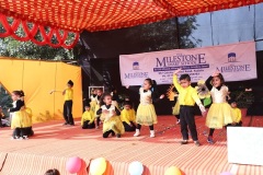 Dancing-stars-IMG_1636