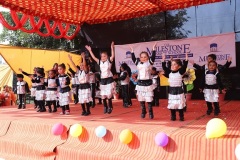 Dancing-stars-IMG_1784