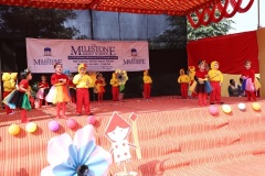 Dancing-stars-IMG_1846