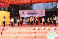 Dancing-stars-IMG_1866