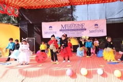 Dancing-stars-IMG_1927