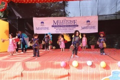 Dancing-stars-IMG_1959