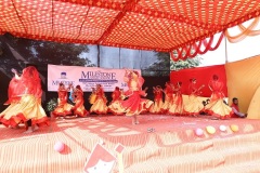 Dancing-stars-IMG_2002