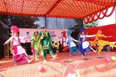 Dancing-stars-IMG_2062