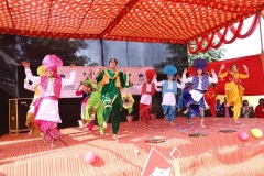 Dancing-stars-IMG_2065