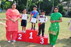 milestone-smart-school-patiala-16