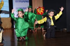 Extravaganza-2017-IMG-20171030-WA0028