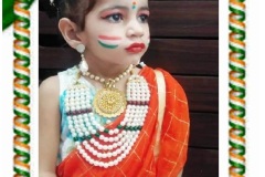 Independence-Day-Virtual-Celebrations-14