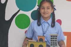 Mini Eco City MSS