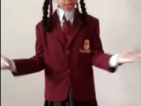 Theme Assembly