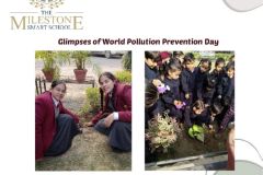 world-pollution-prevention-day-1