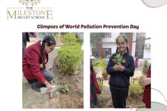 world-pollution-prevention-day-2