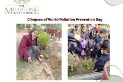 world-pollution-prevention-day-4