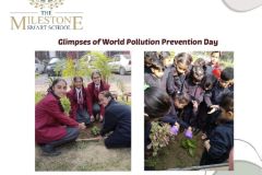 world-pollution-prevention-day-5