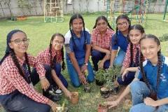 Tree plantation week
