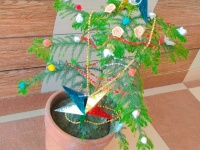 Christmas Celebration