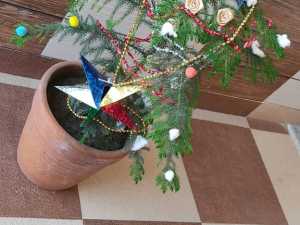 IMG-20201226-WA0105