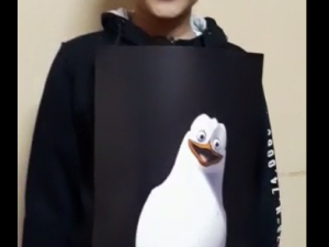 29